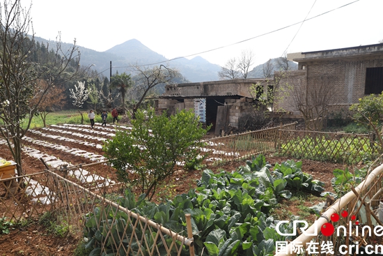 贵州六盘水：着力将农村产业革命向纵深推进