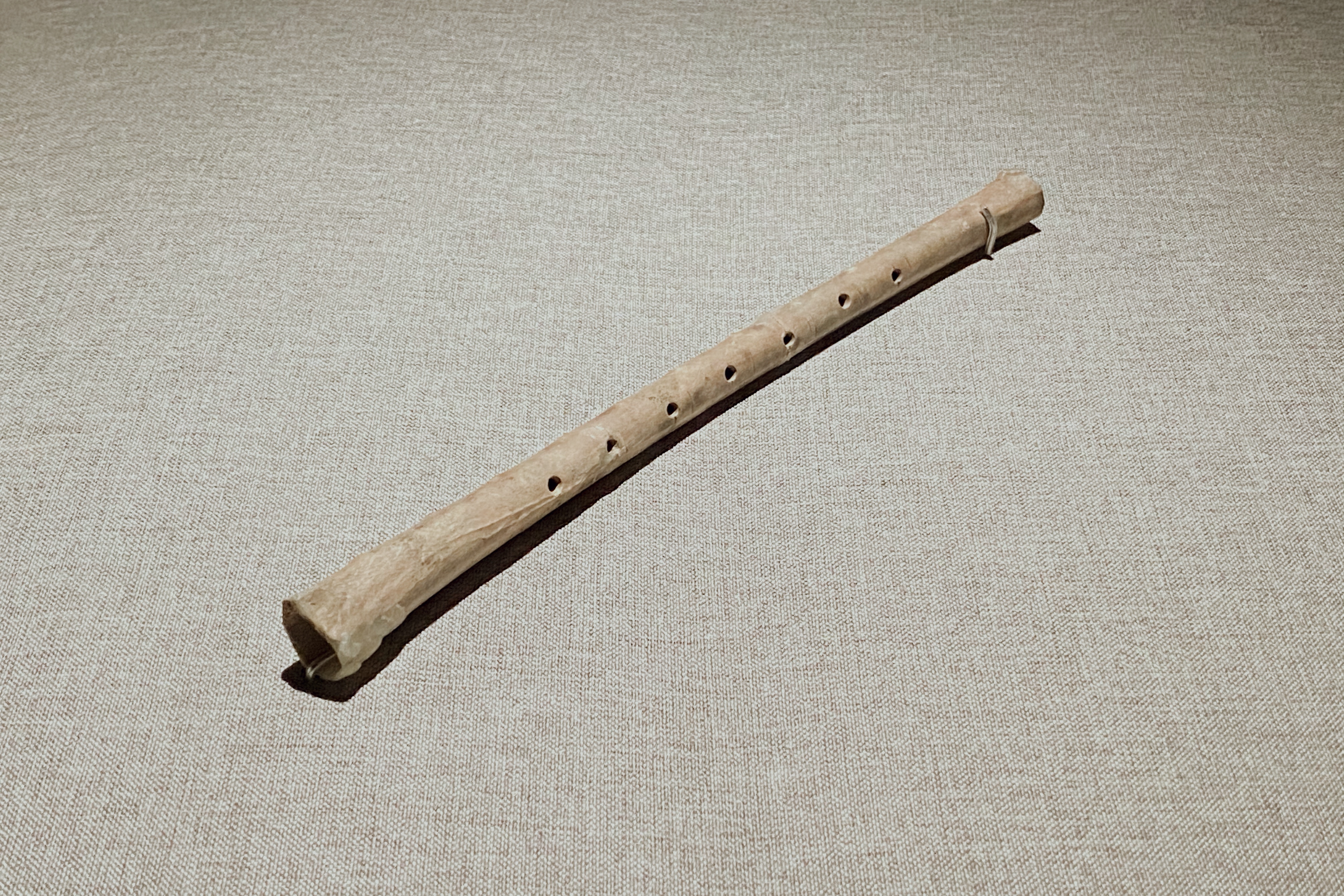 一饱眼福 中国古代奇珍乐器齐聚国博_fororder_河南舞阳贾湖新石器时代文化遗址出土的骨笛(摄影 陈毓娟)