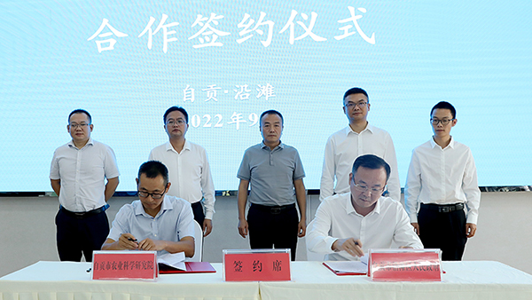 自贡沿滩:携手打造种业品牌 助力乡村振兴_fororder_签约仪式