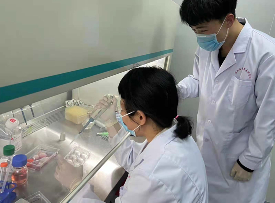 【原创】漯河医专科研团队成功培养出块状鸡细胞肉_fororder_图片2