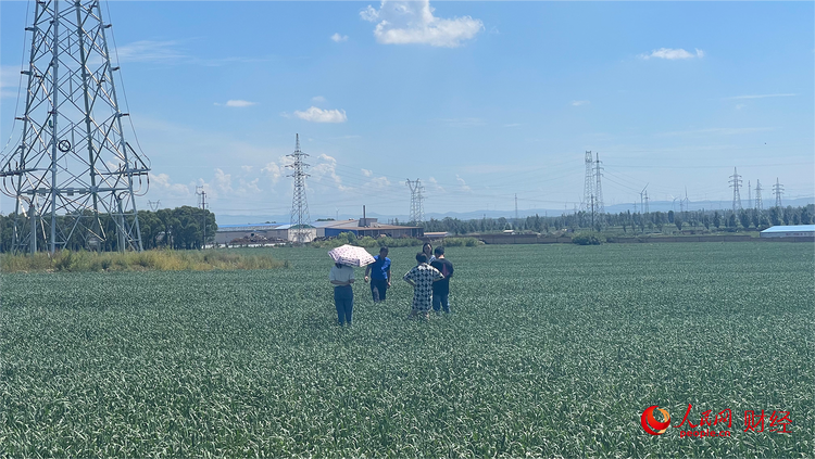 “我和我的新时代”乡村振兴调研行农业篇 厚植农业产业发展沃土 把“好丰景”印在农民的笑脸上