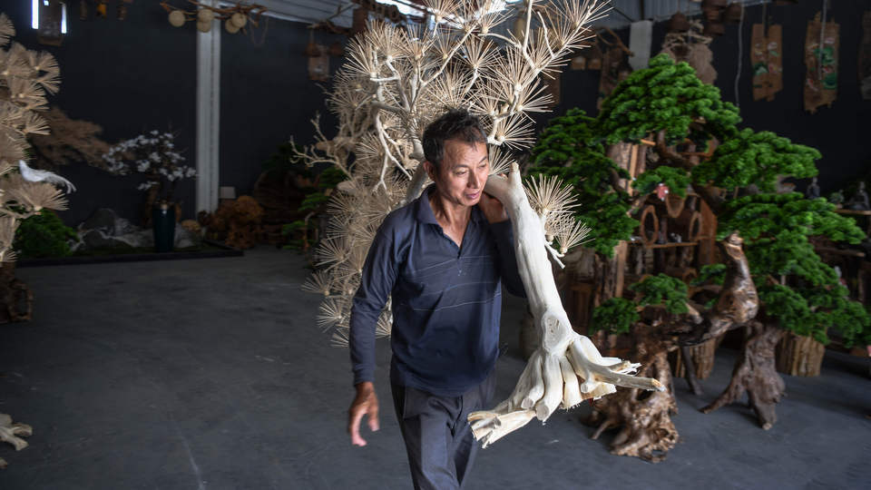 广西桂林:根雕工艺品助力脱贫增收