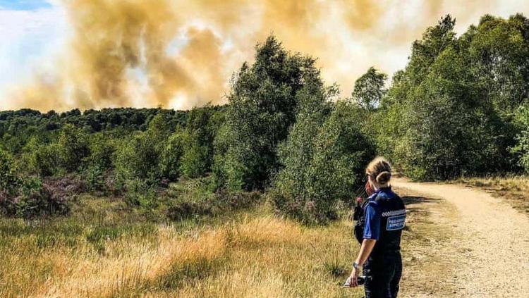 英国萨里大火蔓延40公顷 100多户居民被疏散