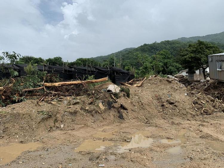 韩国暴雨灾害已致30人死亡 台风将至或使灾情持续扩大
