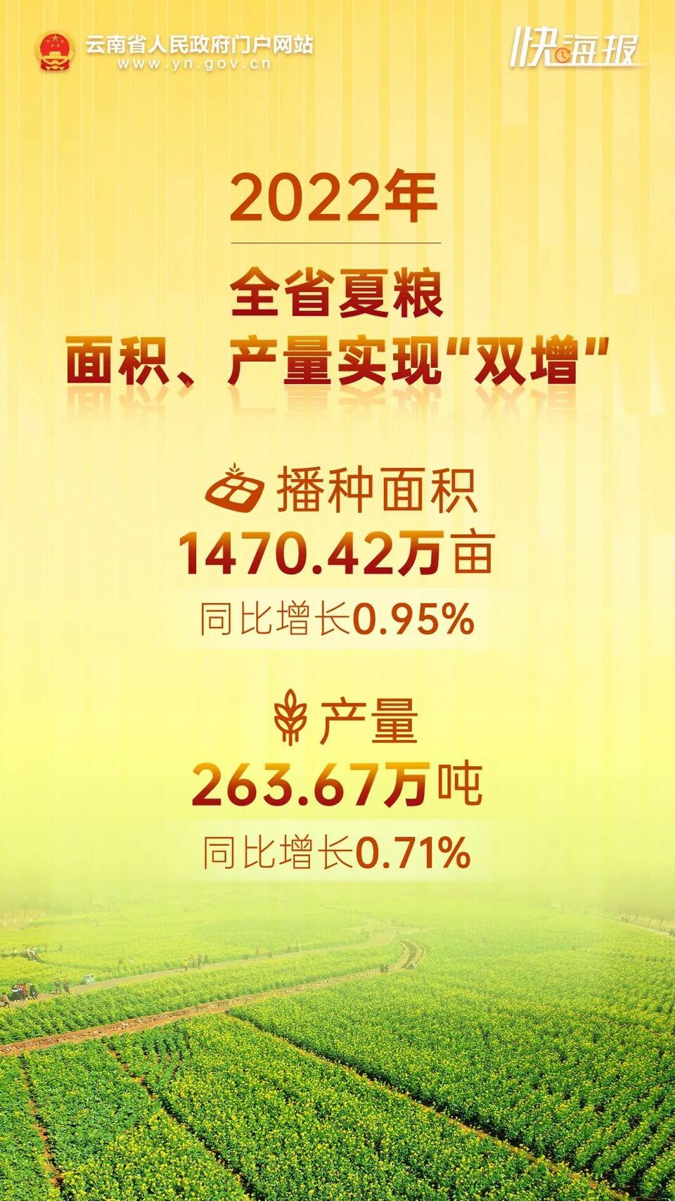 特别策划丨秋“丰”起，云岭稻穗香！