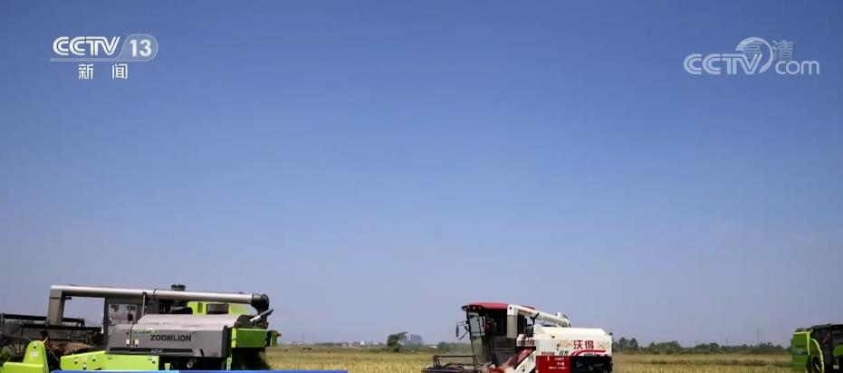 中国农民丰收节 | 基础设施提档升级 提升粮食生产能力