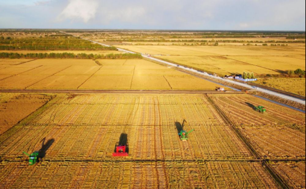 新华网@杂交水稻、美颜相机、高铁、外卖……到底谁站C位？网友炸