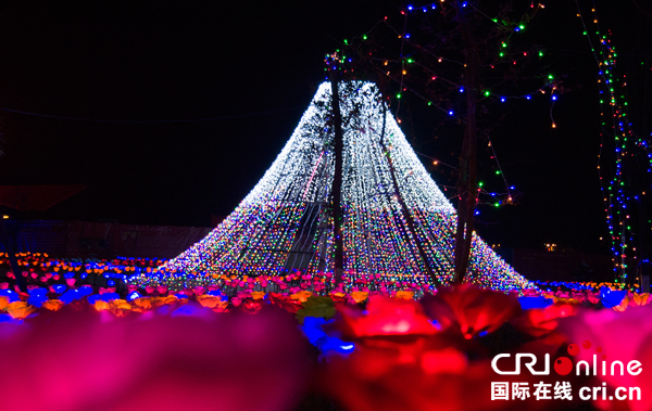 图片默认标题_fororder_各色灯组组成的星空灯--摄影-姜瑶