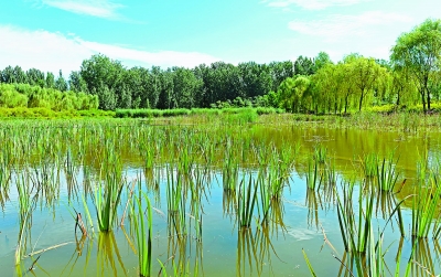 改善城市生態(tài)環(huán)境 太陽(yáng)能助力“海綿城市”