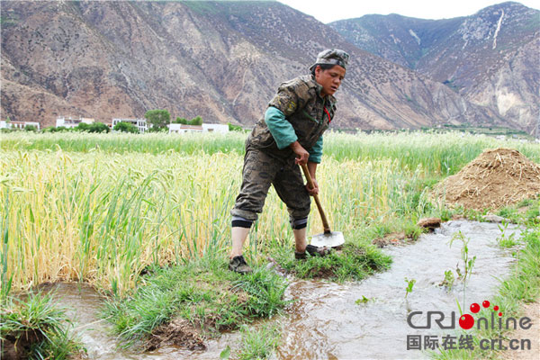 图片默认标题_fororder_4、建成后的玛依河水利工程让靠天生产的高原河谷披上了绿色的新妆