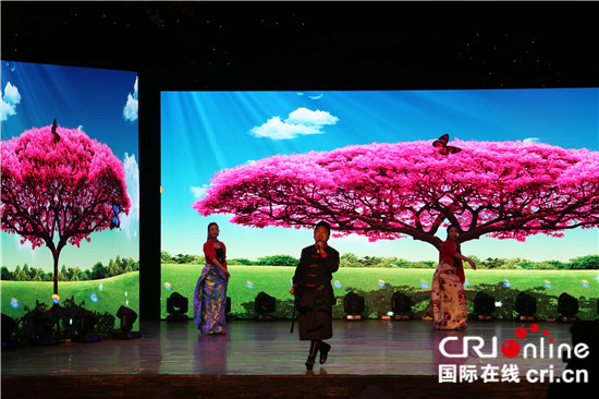 图片默认标题_fororder_松潘2018首届春节联欢晚会现场   (2).JPG