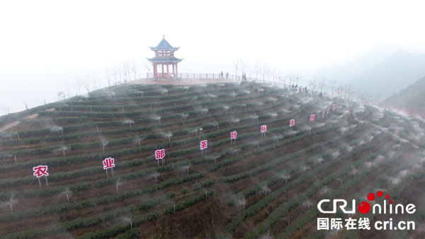 图片默认标题_fororder_1