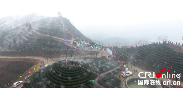 图片默认标题_fororder_2