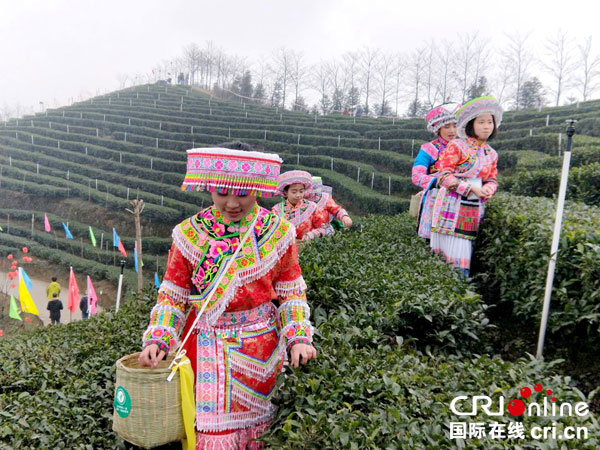 图片默认标题_fororder_采摘节现场（摄影-何芳）
