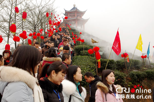 图片默认标题_fororder_游客在采摘节现场观摩（摄影-何芳）