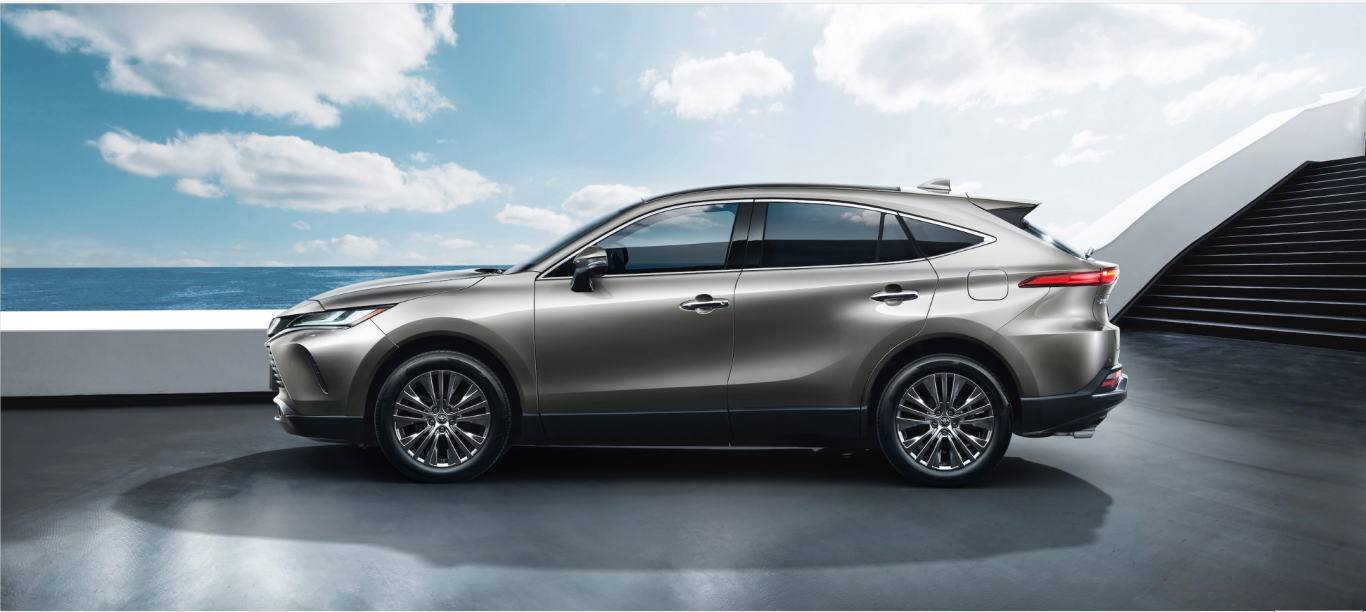 姊妹出街:凌放和威飒你喜欢谁