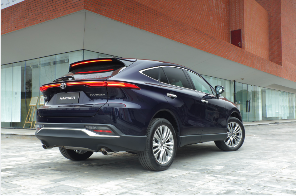 姊妹出街:凌放和威飒你喜欢谁