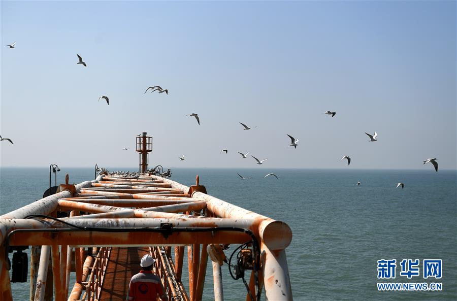 【新华网】探访渤海湾埕北油田采油平台