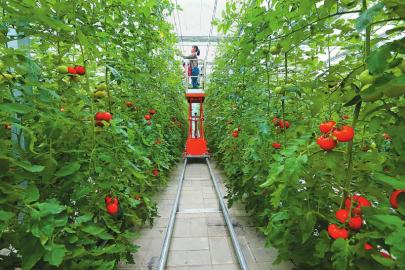 （头条-文字列表）奋力书写建设美丽繁荣和谐四川的时代答卷（七）