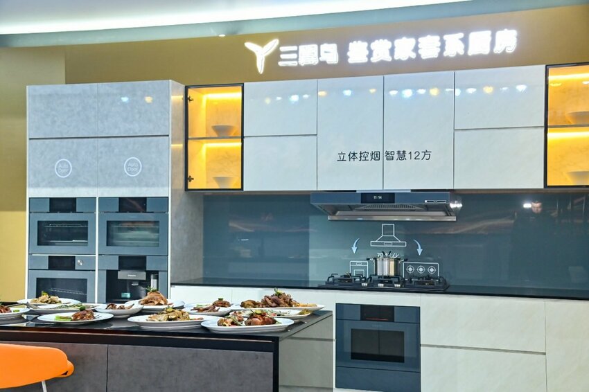 买厨电怎么选?专业机构选卡萨帝