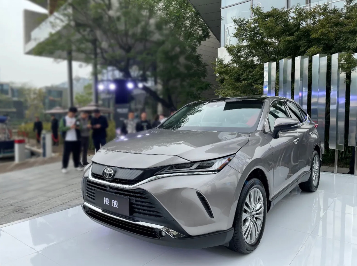 姊妹出街:凌放和威飒你喜欢谁