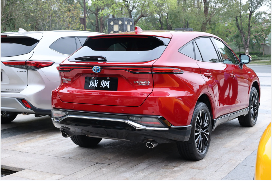 姊妹出街:凌放和威飒你喜欢谁