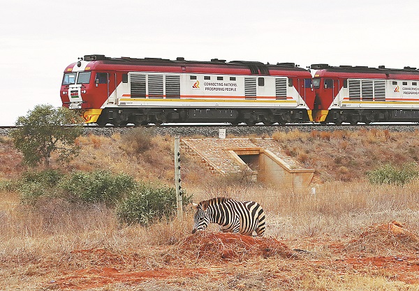 【中国那些事儿】非洲学者积极评价中非合作:务实合作助力非洲发展