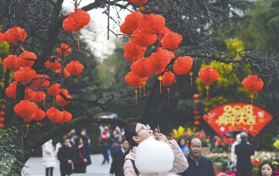 （成都图文）璀璨成都已梳妆 欢迎您来过大年