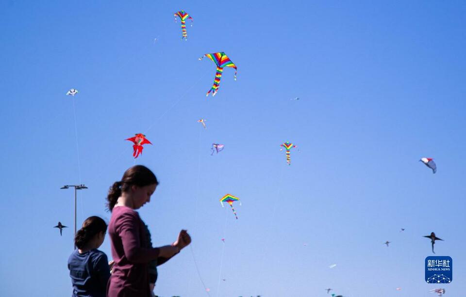 悉尼风筝节在邦迪海滩举行-世界杯买球入口·(中国)