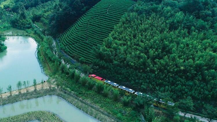 绿水青山是我家⑦|村主任在联合国讲述“逆袭”故事插图2 绿水青山是我家⑦|村主任在联合国讲述“逆袭”故事-ManBetX注册登录·(中国)