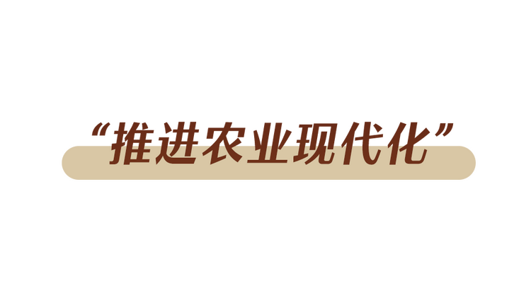 办好自己的事丨牢牢端稳中国饭碗