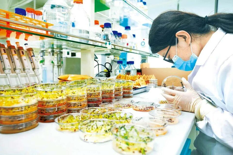 办好自己的事丨牢牢端稳中国饭碗插图3