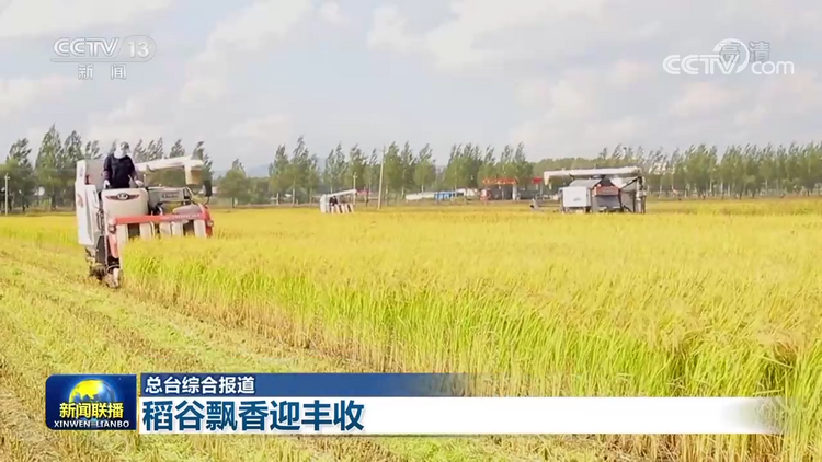 【在希望的田野上】稻谷飘香迎丰收