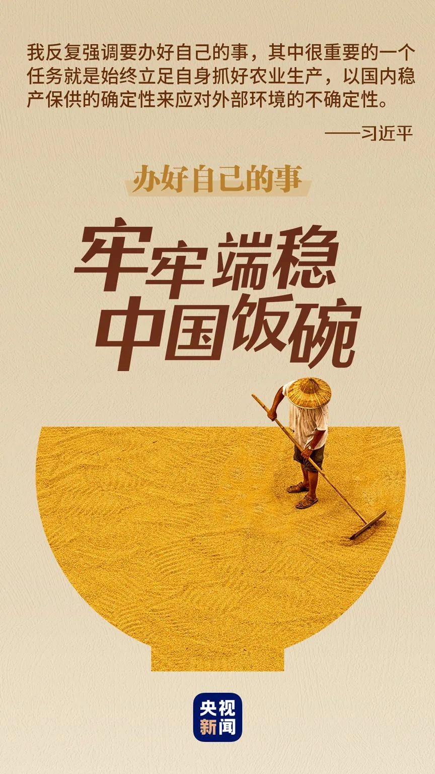 办好自己的事丨牢牢端稳中国饭碗插图