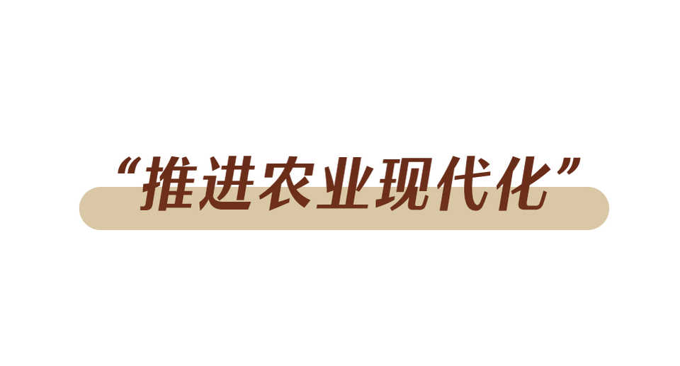 办好自己的事丨牢牢端稳中国饭碗插图6