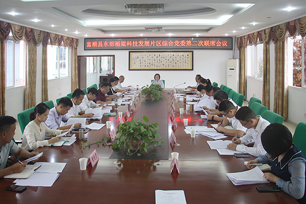 自贡市富顺县东部稻粱科技发展片区综合党委挂牌成立_fororder_会议现场