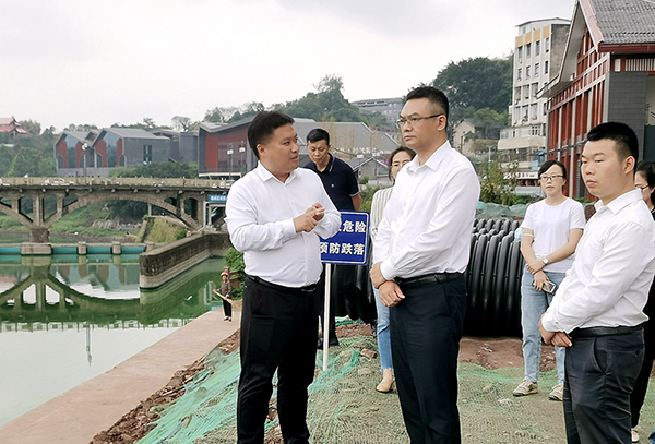 自贡沿滩:千方百计推动项目建设提质提速_fororder_2调研现场