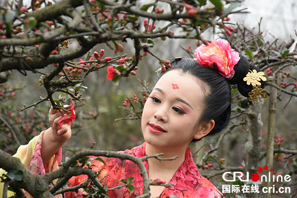 图片默认标题_fororder_海棠仙子（摄影-洪伟）