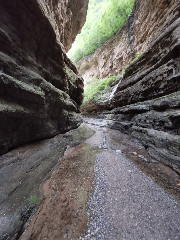 경서대협곡을 가다 경서대협곡을 가다_fororder_IMG_20200808_174856