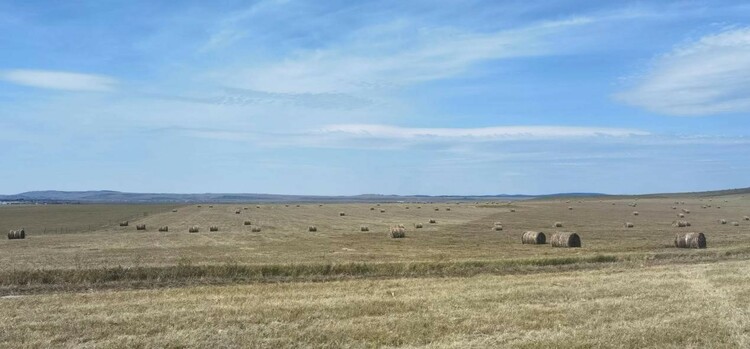 内蒙古:“科技+金融”双下乡 助力产业发展农牧民增收_fororder_a