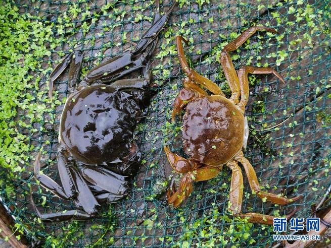 图片默认标题_fororder_5