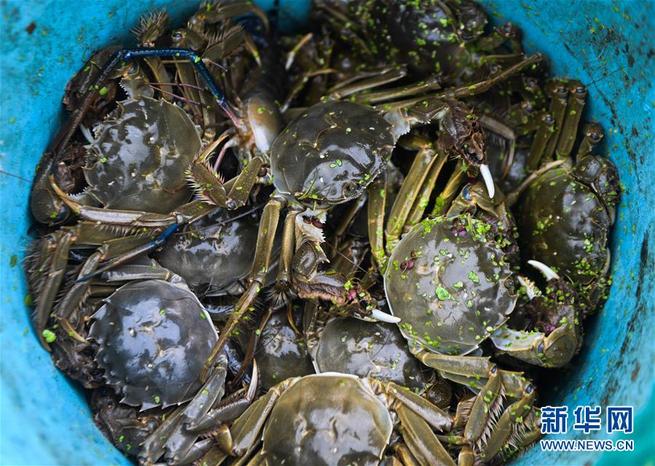 图片默认标题_fororder_1