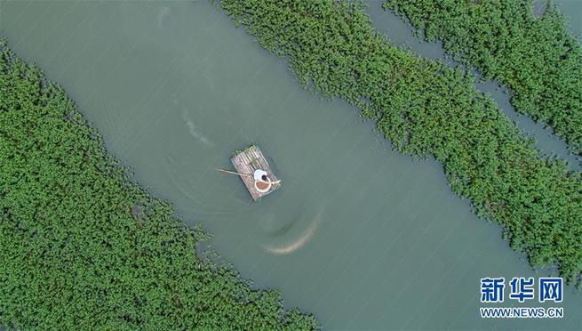 图片默认标题_fororder_4