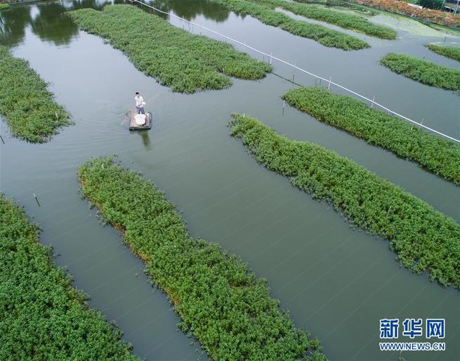 图片默认标题_fororder_2