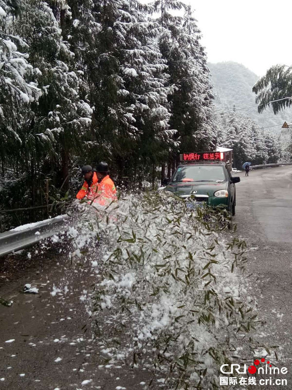 图片默认标题_fororder_清除倒伏竹木