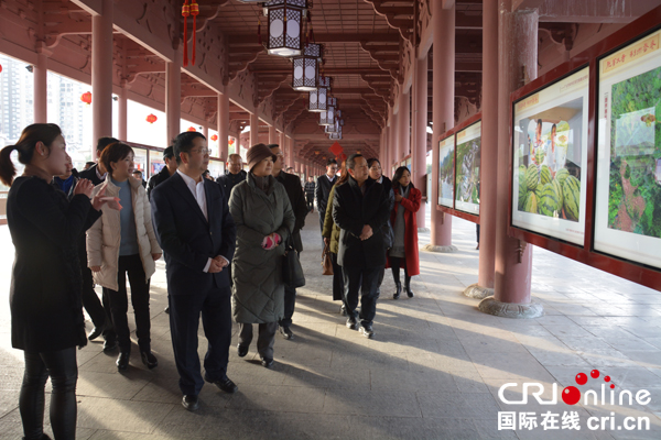 图片默认标题_fororder_展出现场