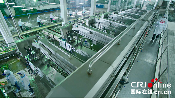 图片默认标题_fororder_濛阳镇村民进入蔬菜深加工企业工作