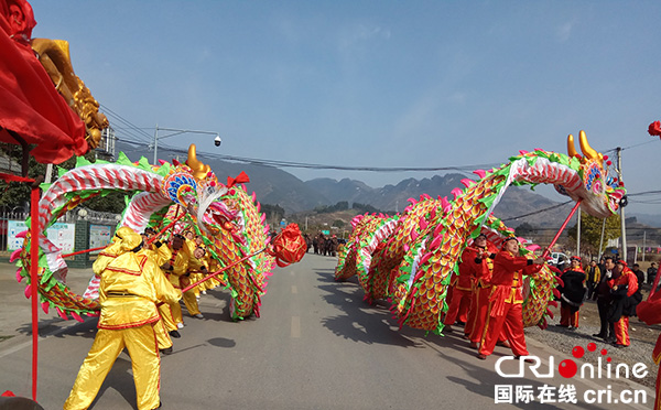 图片默认标题_fororder_金龙、火龙齐起舞（摄影-杨建昆）