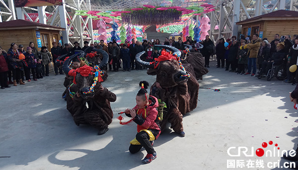图片默认标题_fororder_--葛仙山本地非遗精品节目牛灯表演（摄影-杨建昆）