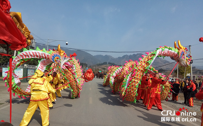 图片默认标题_fororder_金龙、火龙齐起舞（摄影-杨建昆）
